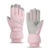 Winter Warm Snowboard Ski Gloves Waterproof Snow Gloves Fashion Women Plush Gloves Outdoor Sports