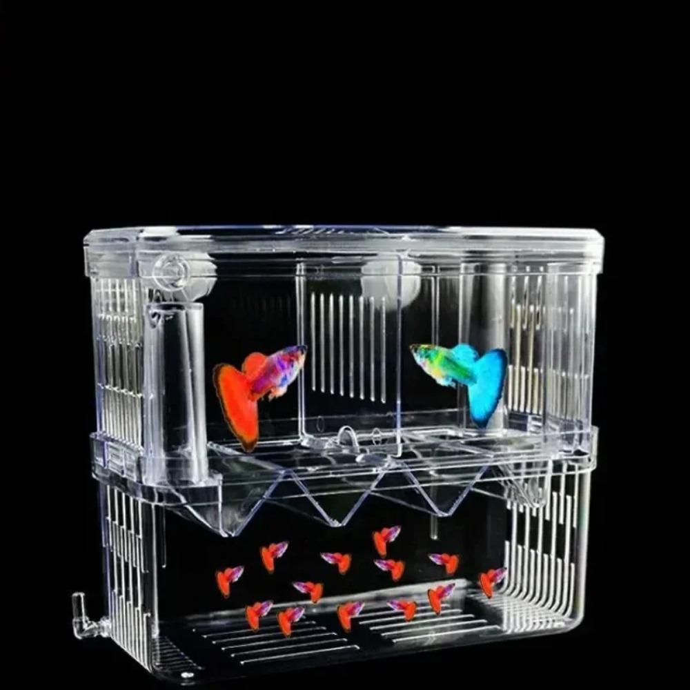 

Acrylic 3-Size Double-Deck Fish Breeding Isolation Box - Hatchery Divider for Shrimp, Clownfish, Aggressive & Injured Fish S