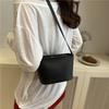 Foreign Style 2025 Summer New Foreign Style Women's Personalized Shoulder Messenger Bag Fashion Trend Casual Simple Bucket Bag