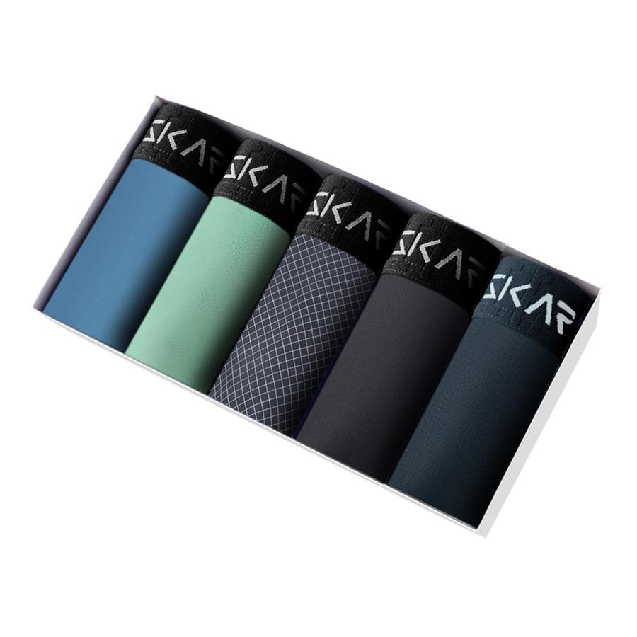 5PCs Pack 2025 Men Panties New Print Underwear Man Brand Boxer And Underpants For Homme Luxury Set Sex Polyester Shorts Slip