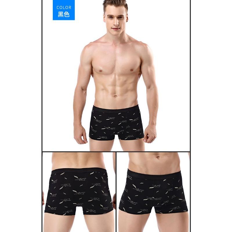 Printed Cotton Mens 3d Boxer Briefs