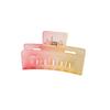 Gradient Color Frosted Large Size Hair Clip with A Lot of Volume Shark Clip Hair Clip Hair Accessories