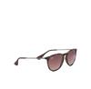 Солнечные Очки Ray-Ban Erika
