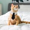2 Pcs Pet Cat Dog Bow Tie,cat Collar Bow Tie, Adjustable Bowtie For Puppy, Dog Necktie,costumes For Dogs, 30cm/11.8in,black+blue - DD