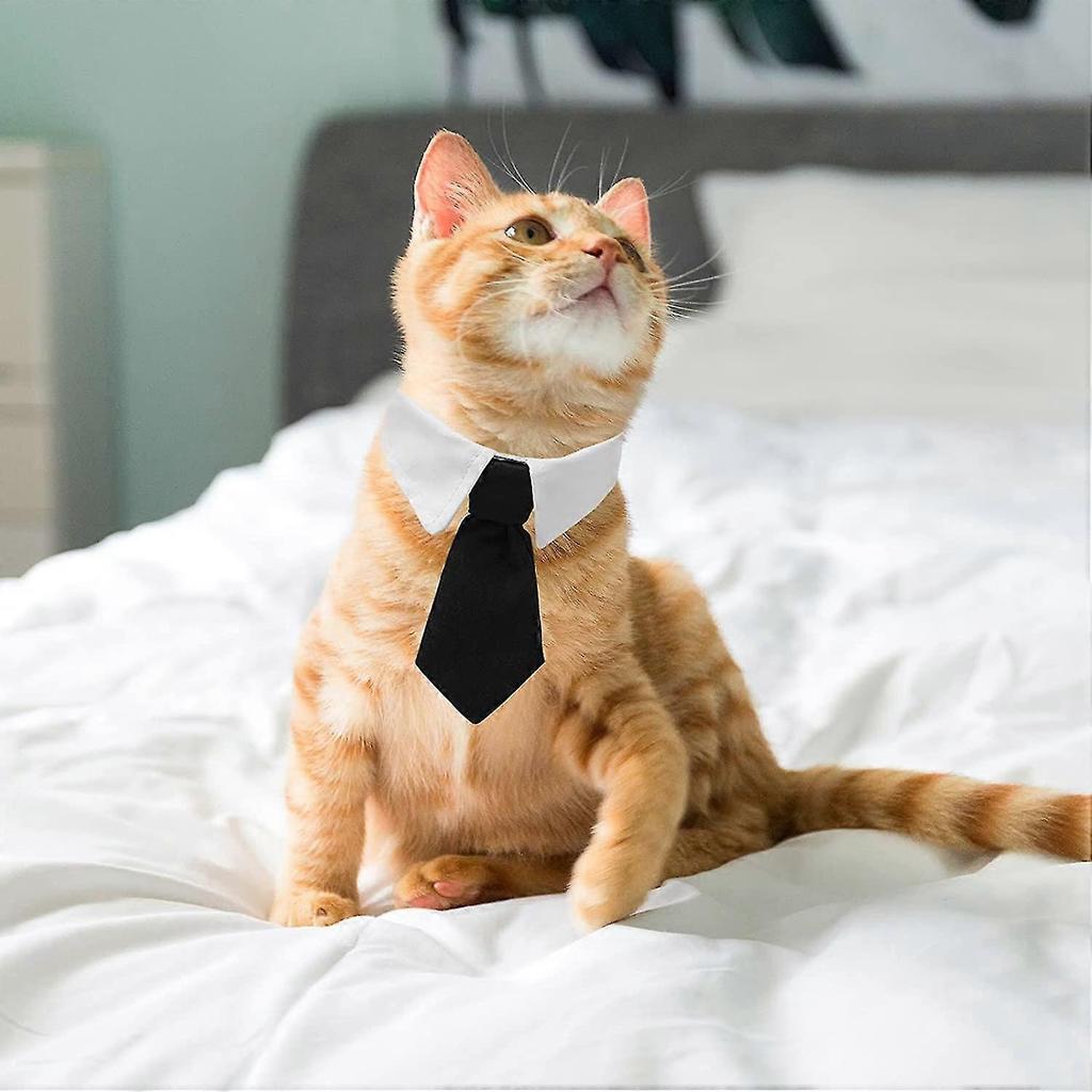 2 Pcs Pet Cat Dog Bow Tie,cat Collar Bow Tie, Adjustable Bowtie For Puppy, Dog Necktie,costumes For Dogs, 30cm/11.8in,black+blue - DD