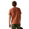 Regatta Mens Cline IX Mountain T-Shirt
