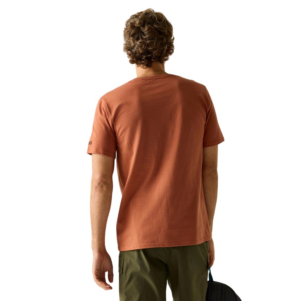 Regatta Mens Cline IX Mountain T-Shirt
