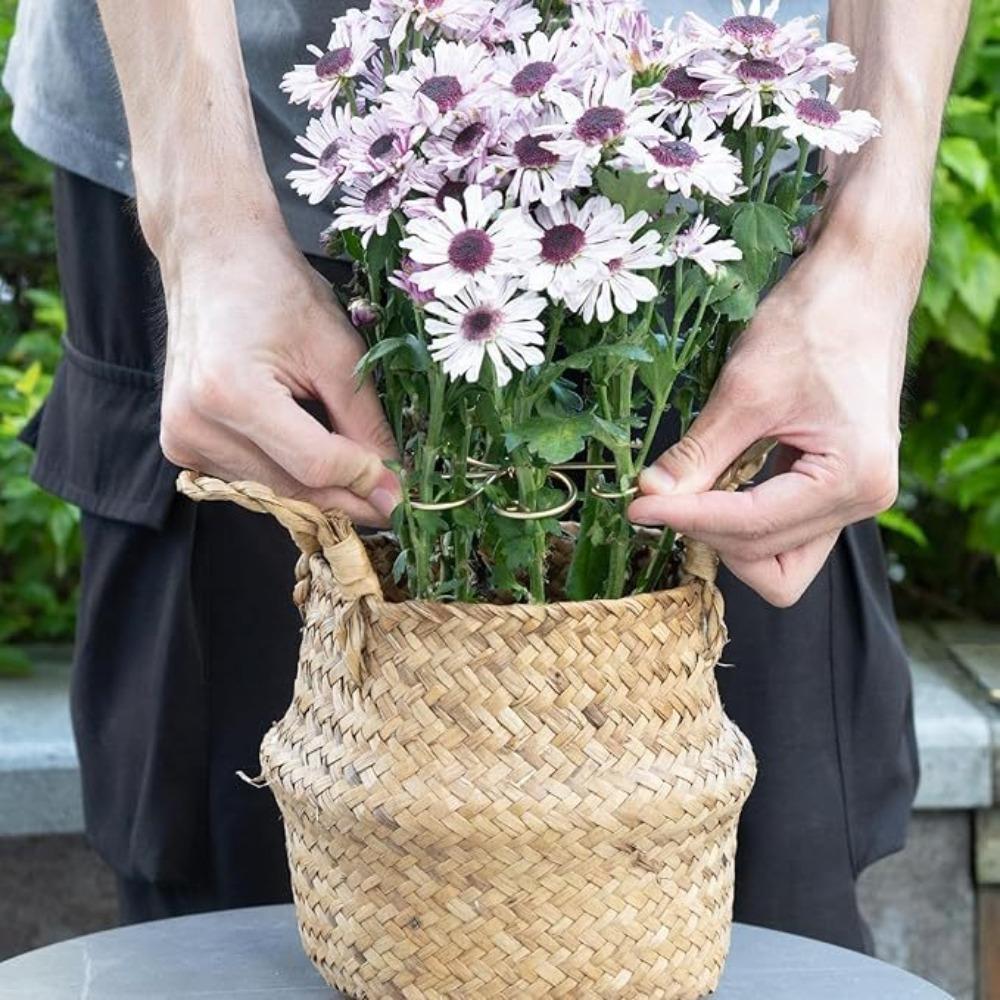 Iron Plant Stem Support Heart Shape Indoor Plants Climbing Rack Hook  Indoor Outdoor Plants