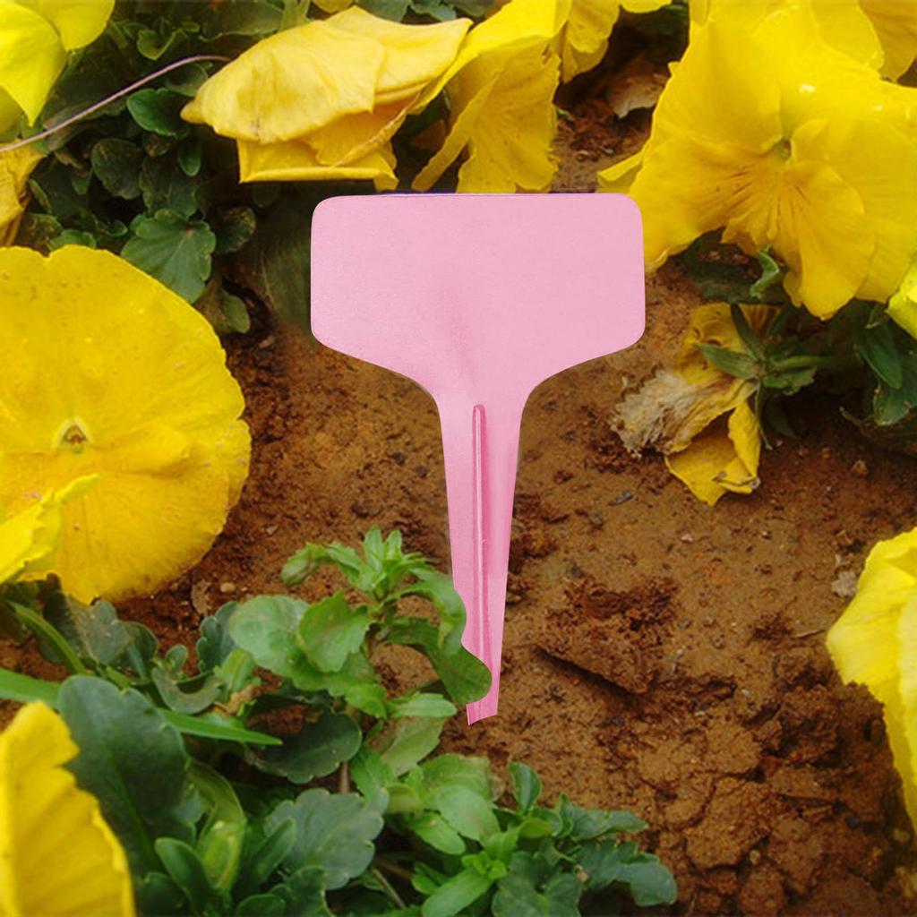 100 Pcs Garden Markers Plant Labels T-Type Plant Tags Outdoor Garden Sign