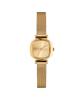 Komonowachi Moneypenny Royal Gold