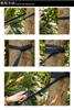 HOMEME Hammock Belts and Set of 300cm 19 500kg Weight for Camping and Outdoor Includes Storage Bag Straps, 2, Long, Nodes, Capacity, Use,
