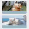 Cat Window Perch Suction Cup Window Hammock For Cats Inside Cat Beds For Indoor Cats Shock-proof Cat Window Sill Perch For