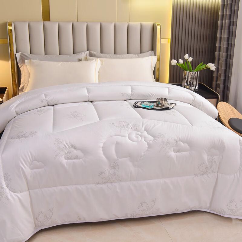 Conch Home Warm Polyester Fiber Quilt