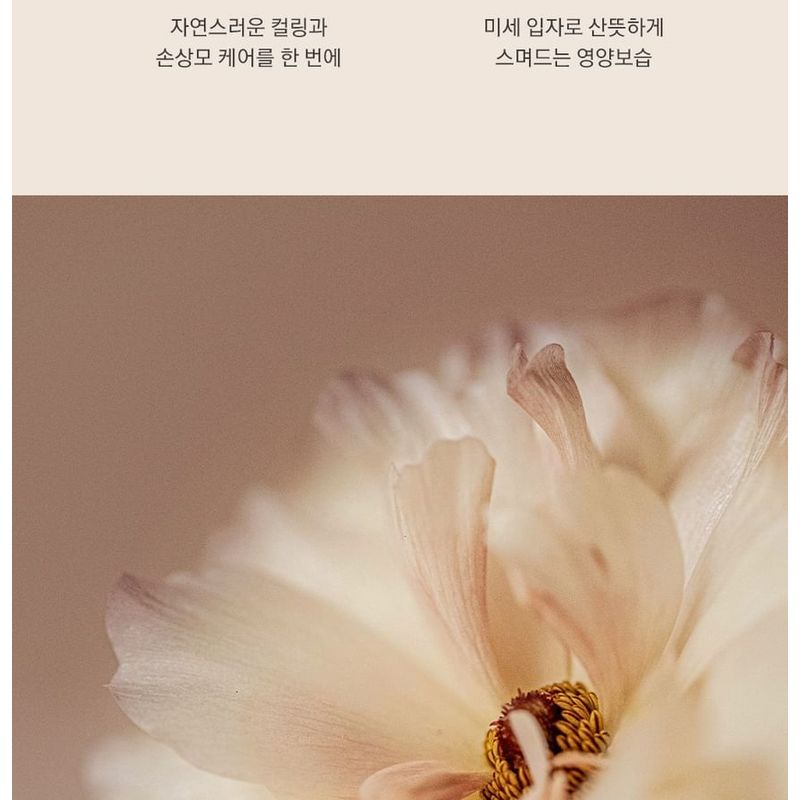 Nard Damage RX Shampoo