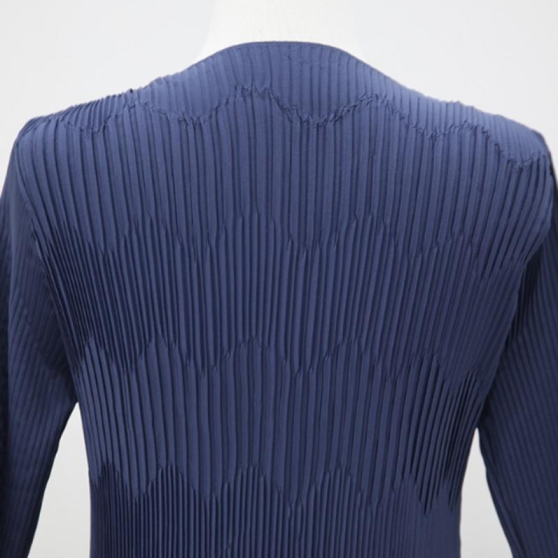 Shiz Madam V Embossed Pleats Dress