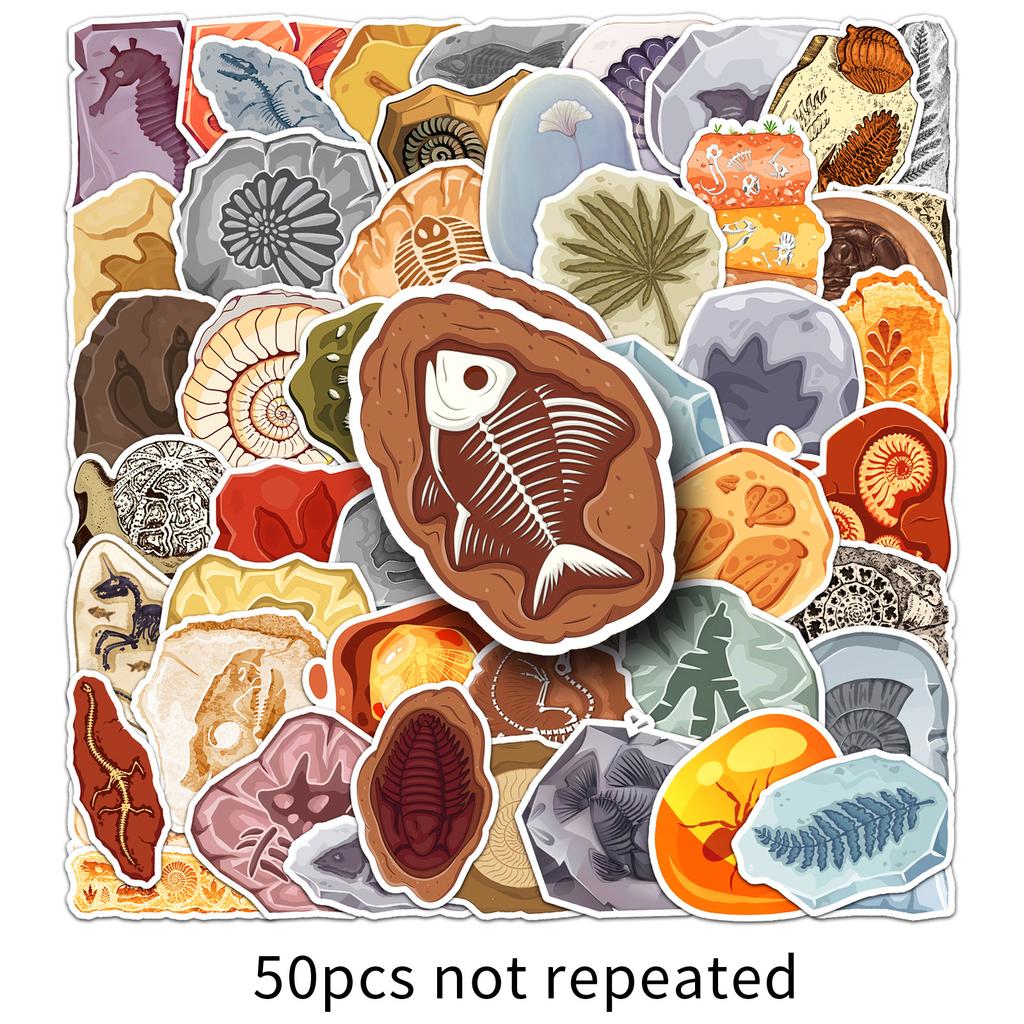 50 Fossil Graffiti Stickers Personalized Creative Ammonite Amber Jurassic Decorative Suitcase Skateboard Stickers