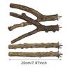 Natural Wood Pet Parrot Raw Wood Fork Tree Branch Stand Rack Squirrel Bird Hamster Branch Perches Chew Bite Toys Bird Supplies