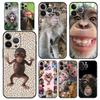 Phone Case For iPhone 17 16e 15 14 13 12 11 Pro Max SE 7 8 Plus Shell iPhone 16 Soft TPU Cover Cute Funny Monkey