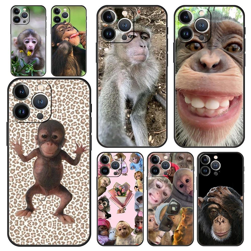 Phone Case For iPhone 17 16e 15 14 13 12 11 Pro Max SE 7 8 Plus Shell iPhone 16 Soft TPU Cover Cute Funny Monkey