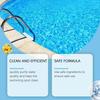 Swimming Pool Care Tablets Advanced Stain Remover and Odor Control for Safe and Hygienic Water