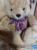 [USED] Teddy Bear Teddy Bear