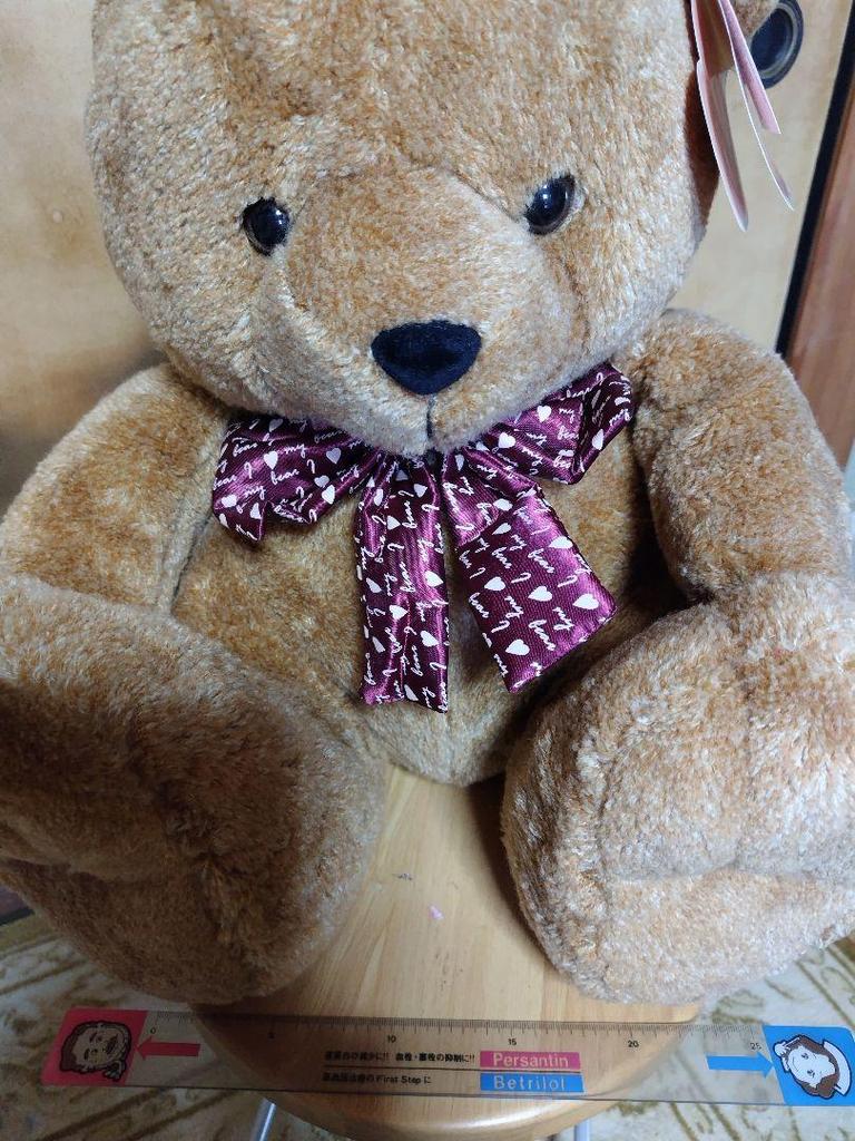 [USED] Teddy Bear Teddy Bear