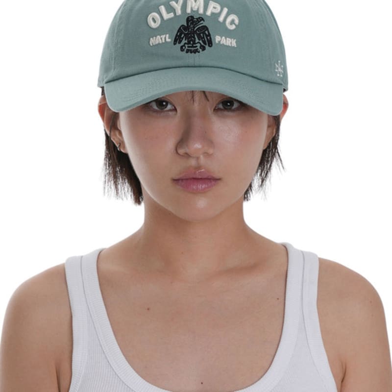 

AMERICAN NEEDLE BALLPARK cap OLYMPIC NATIONAL PARK FREE