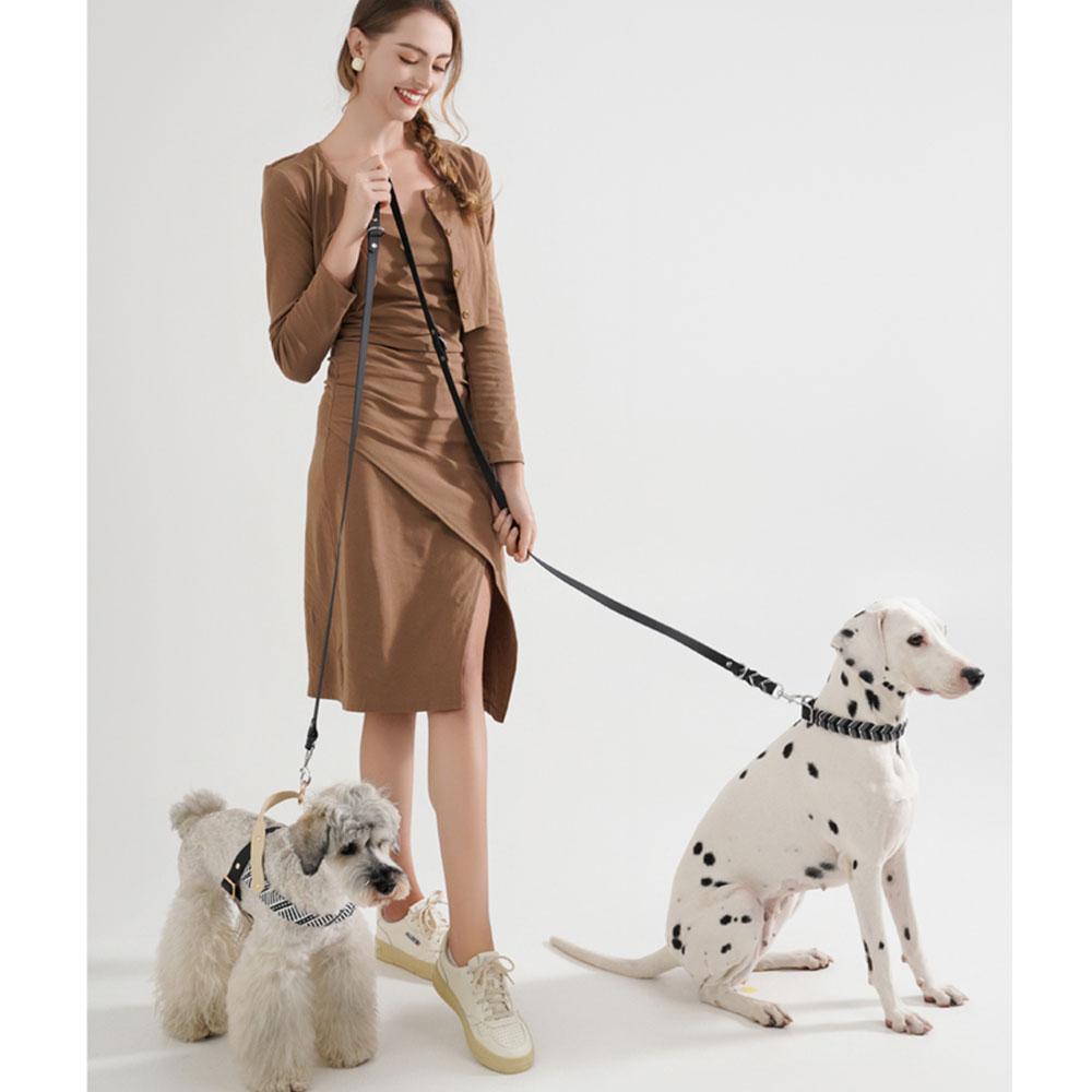 Psí vodítka Pevná Odolná A Super Pevnost V tahu Psí lano Barevné Multifunkční Luxusní Ručně vyráběné Vodítko Pro Střední Velké Psy