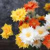 5 Heads Artificial Flower High Simulation Silk Material Realistic Texture Lifelike Bellis Perennis
