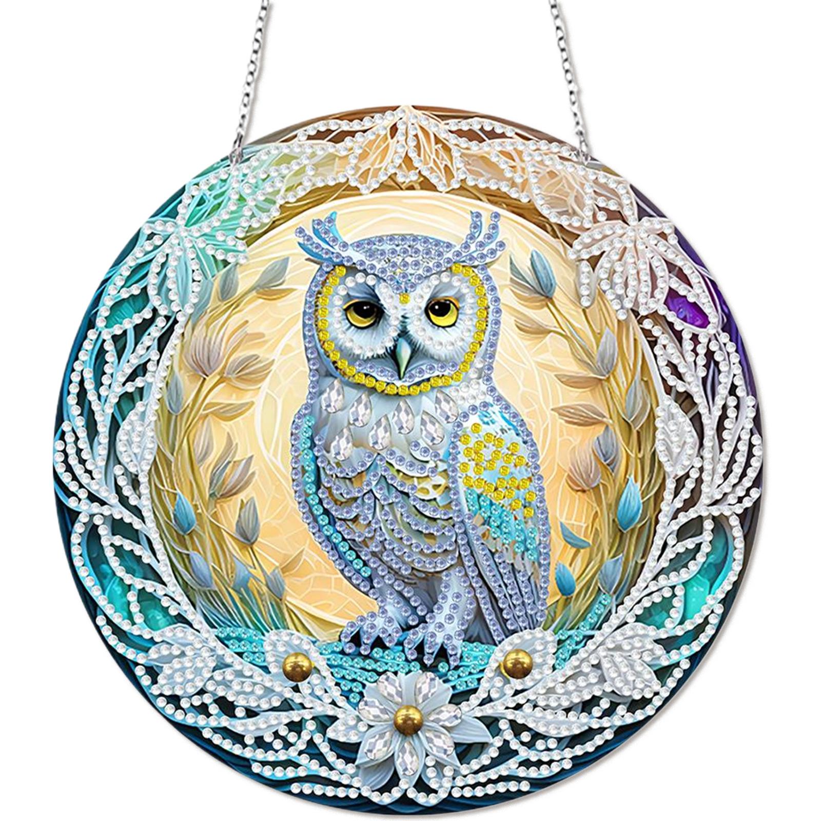 

DIY Point Drill Pendant Single-sided 5D Special Shaped Drill Pendant Hanging Ornament Round Arts Craft Acrylic for Home Garden