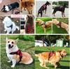Small Medium Large Dog Harness Strong Harness Vest for Dogs Pet Shop Everything for Dogs Golden Retriever Chihuahua Accessories