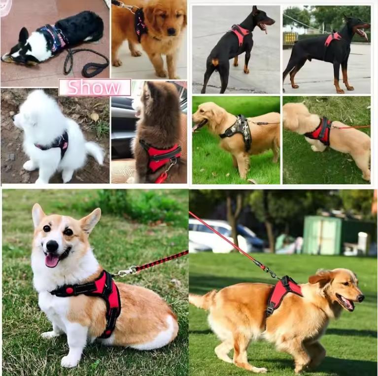Small Medium Large Dog Harness Strong Harness Vest for Dogs Pet Shop Everything for Dogs Golden Retriever Chihuahua Accessories