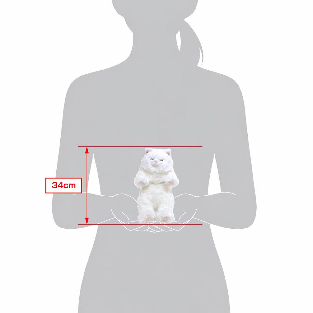 Sun Lemon Stuffed Animal Animal Cute Cat Persian White 15x12x34cm P-1593