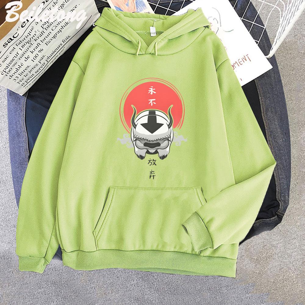 Avatar The Last Airbender Hoodie Cute Print Kawaii Clothes for Girl Pullover Casual Cartoon Funny Sweatshirt Women Harajuku Wram
