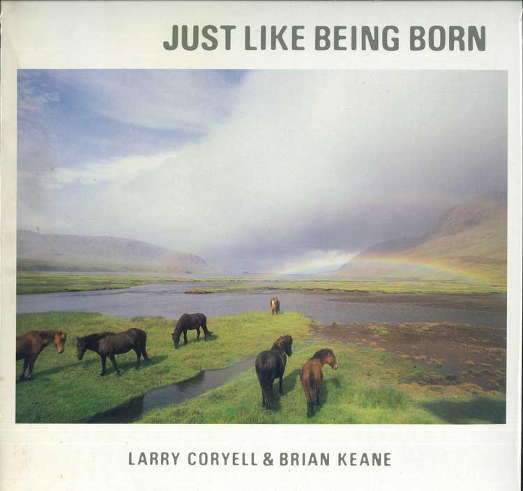 

LP Record LARRY CORYELL BRIAN KEANE Just Like Being Born L25P1214 FLYING FISH 1985 Japan Obi Jazz Used