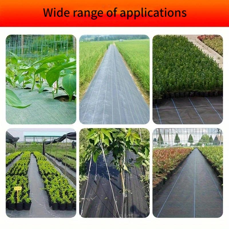 Schwarzes Hochleistungs-Gartengewebe - Unkrautvlies und Bodendecker für Blumen, Gemüse, Hochbeete, Rasen und Gärten