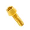 M5 M6 M8 Titanium Bouten, Zeskantbouten voor Fiets Motorfiets Accessoireonderdelen