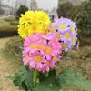 Creative Garden Yard Patio Decorative Solar Flower Lamp Waterproof Wireless LED Light Waterproof Lawn Outdoor Orname
