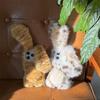 Leopard Print Plush Cat Ear Anti-Drop Phone Case for iPhone 14/13/12/11 PRO/MAX