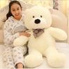 Large Plush Doll Ragdoll Hug Bear Teddy Panda Doll Birthday Gift