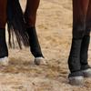 4 Stück/Set 3 Größen Sport-Beinschutz für Pferde Set Langlebige Beinschutz-Unterstützungsausrüstung Schützt die Beine des Pferdes