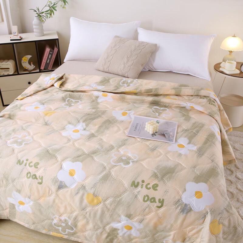 Qingqing Mugwort Antibacterial Summer Quilt