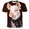 Men Fashion Short Sleeve 3d Print T Shirt Round Neck Summer Plus Size Tees