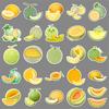 51 Cantaloupe Personality Cartoon Fruit Children's Rewards Guka Decorative Skateboard Suitcase Guitar Creative Stickers