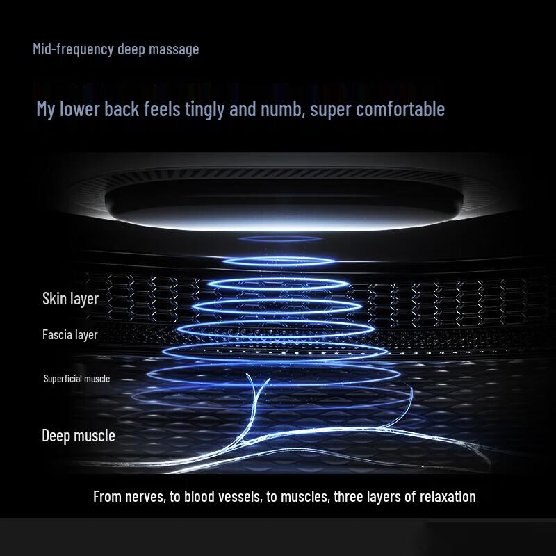 Xiaomi SKG Waist Massager