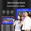 SANSUI TC159 Outdoor Karaoke Trolley Speaker System CN plug (adapter included) (CN version)