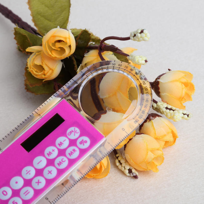 Regla solar Regla de 10 cm Mini calculadora digital 2 en 1 Papelería para niños Regalos de oficina escolar
