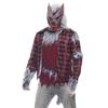 Costume de carnaval pentru bărbați