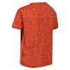 Regatta Kinder/Kids Fingal Edition Marl T-Shirt