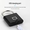Outdoor Smart Fingerprint Padlock